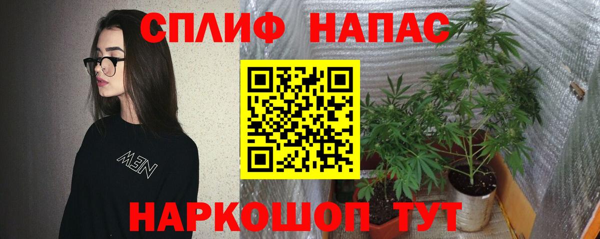 Бошки марихуана сатива Лениногорск